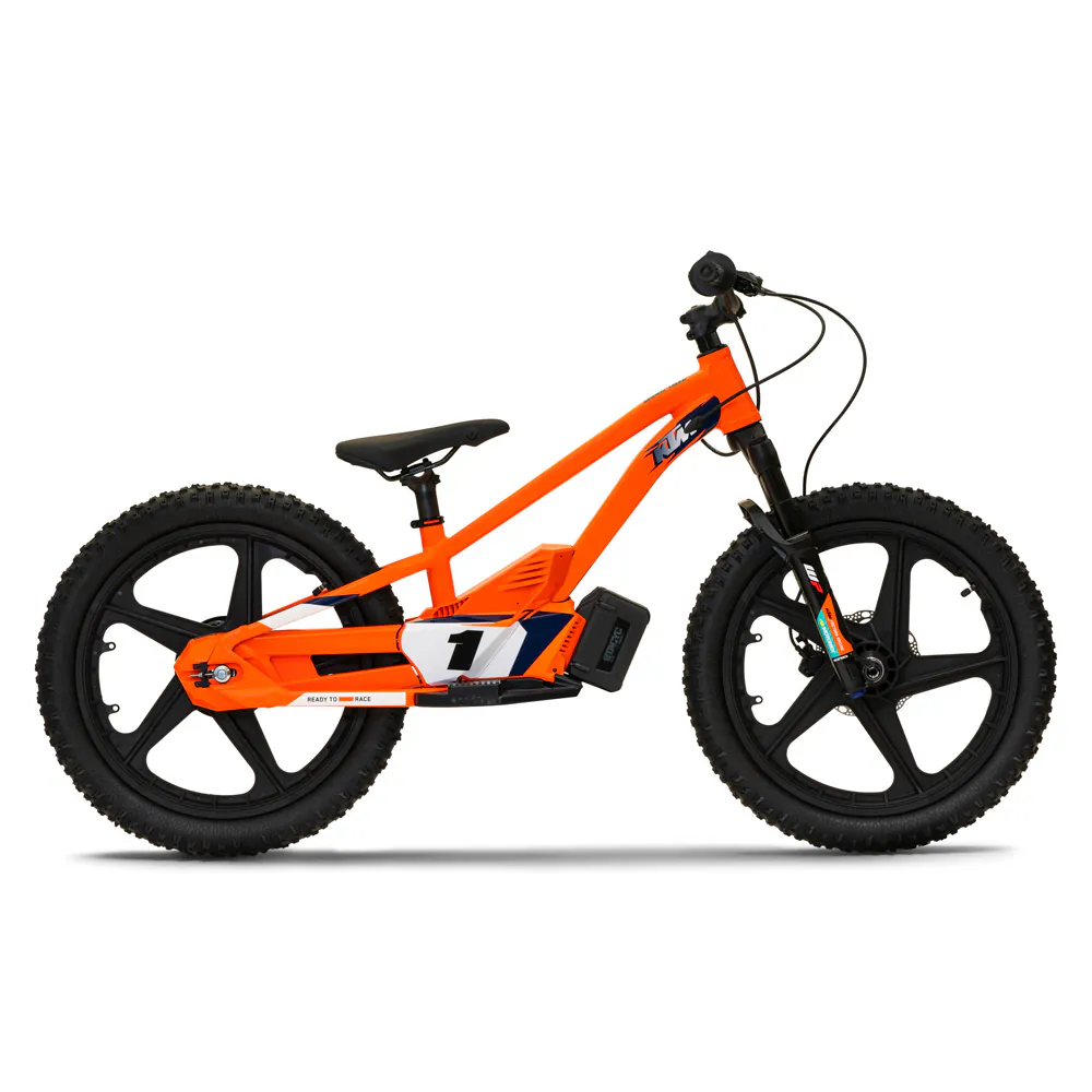 CHASSIS — BIG BIKE DESIGN