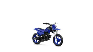 PW50 2023