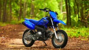 TT-R50 2023