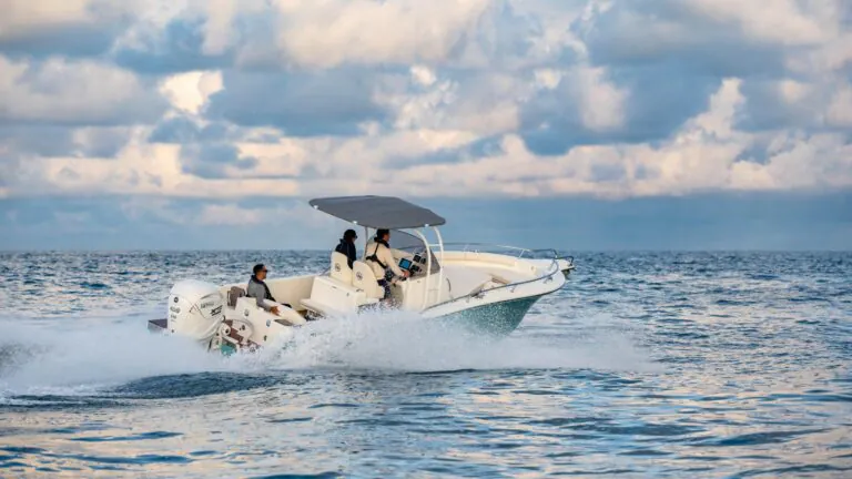 XTO 400hp V8 2026