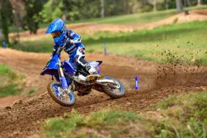 YZ65 2026