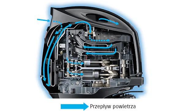 Układ pośrednich kanałów dolotowych