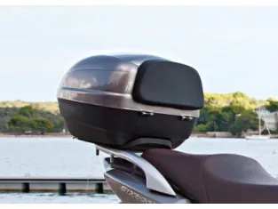 Top Case Backrest 990D0-06G48-005